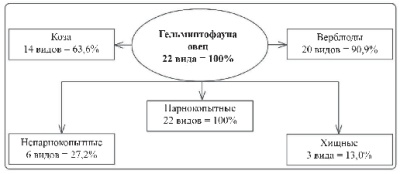 Изображение на обложке