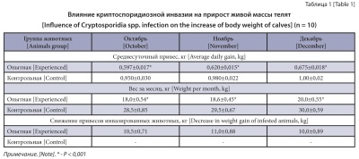 Изображение на обложке
