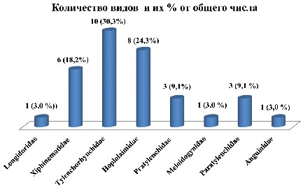 Изображение на обложке