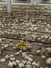 Изображение на обложке