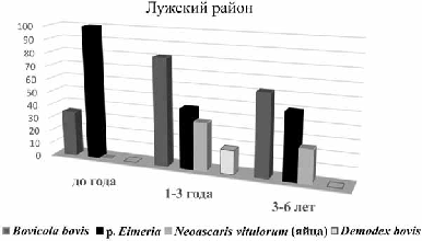 Изображение на обложке