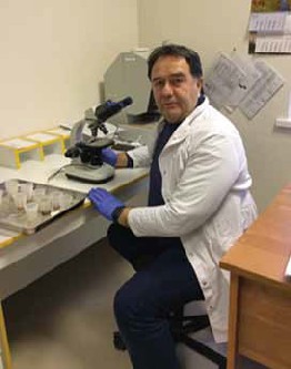 Изображение на обложке