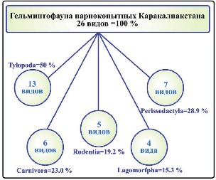 Изображение на обложке