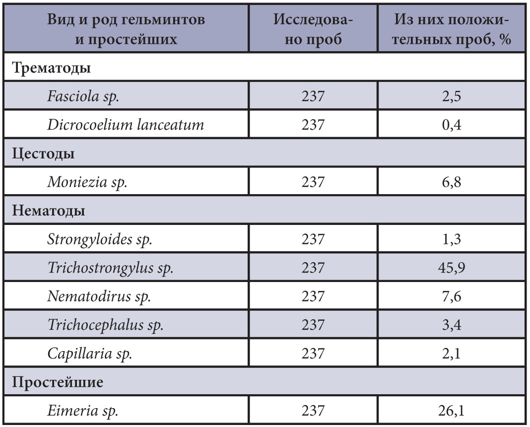 Изображение на обложке