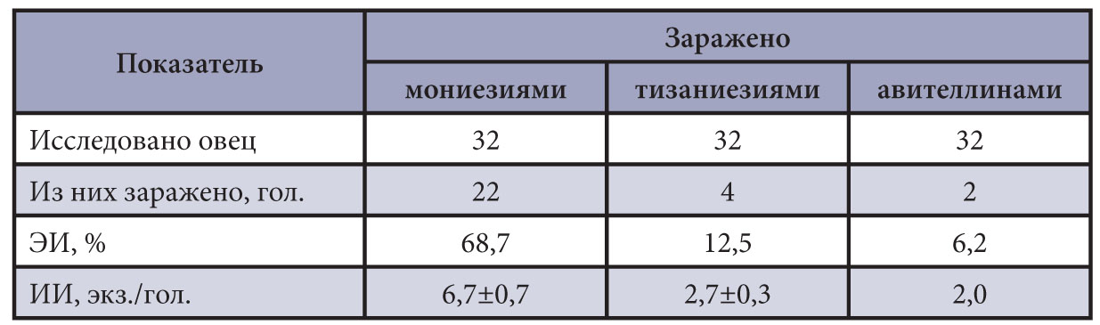 Изображение на обложке